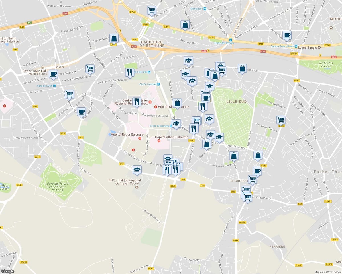 la carte de Lille magasin